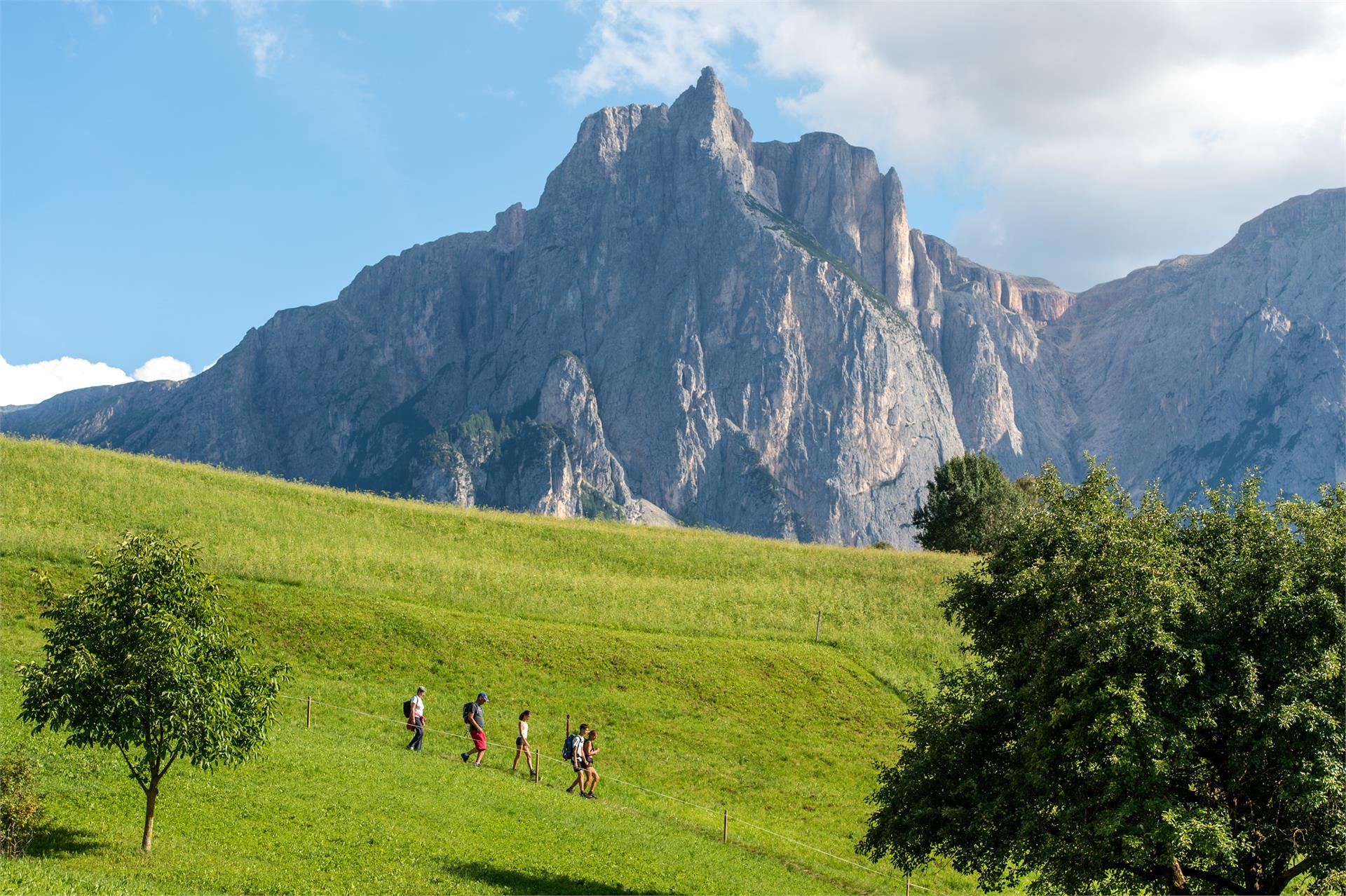 Hotel Alpenroyal Kastelruth/Castelrotto 11 suedtirol.info