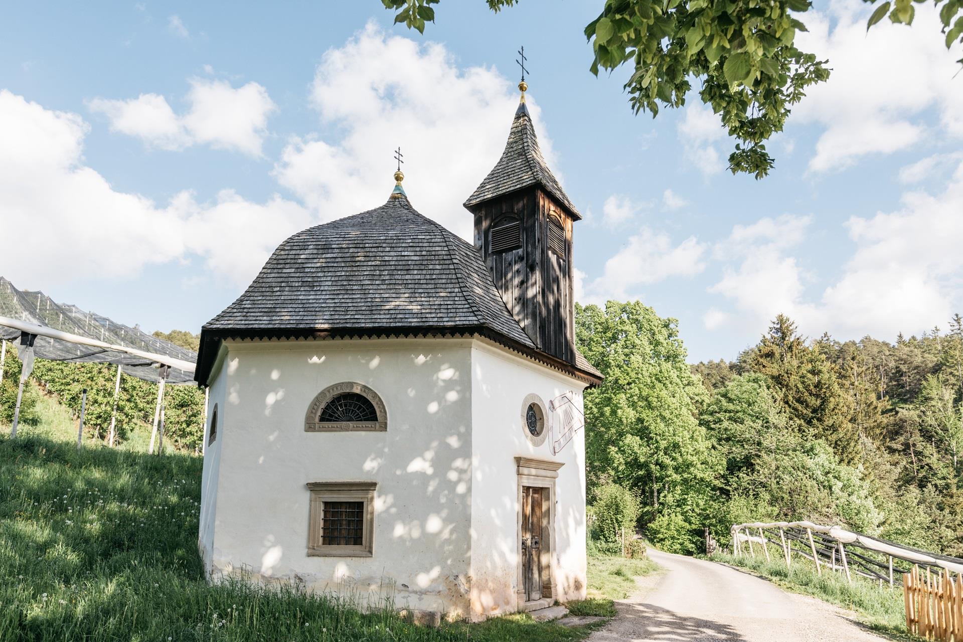 Hof im Thal Aldein/Aldino 6 suedtirol.info