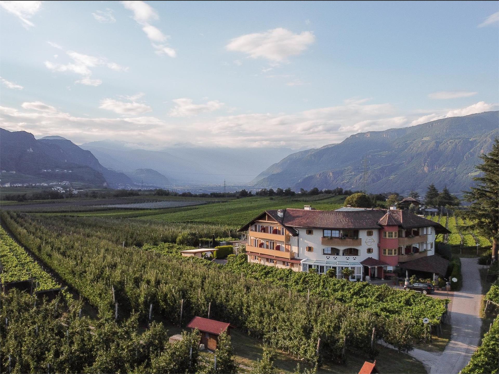 Hotel Garni Linger Eppan an der Weinstaße/Appiano sulla Strada del Vino 1 suedtirol.info