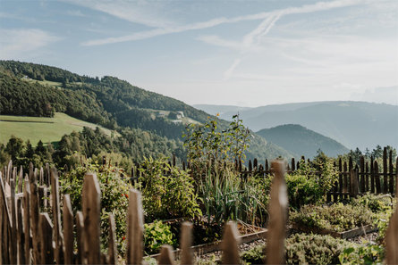 Albergo Al Cervo San Genesio Atesino 16 suedtirol.info