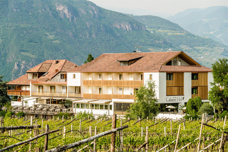 Hotel Girlanerhof Eppan an der Weinstaße/Appiano sulla Strada del Vino 16 suedtirol.info