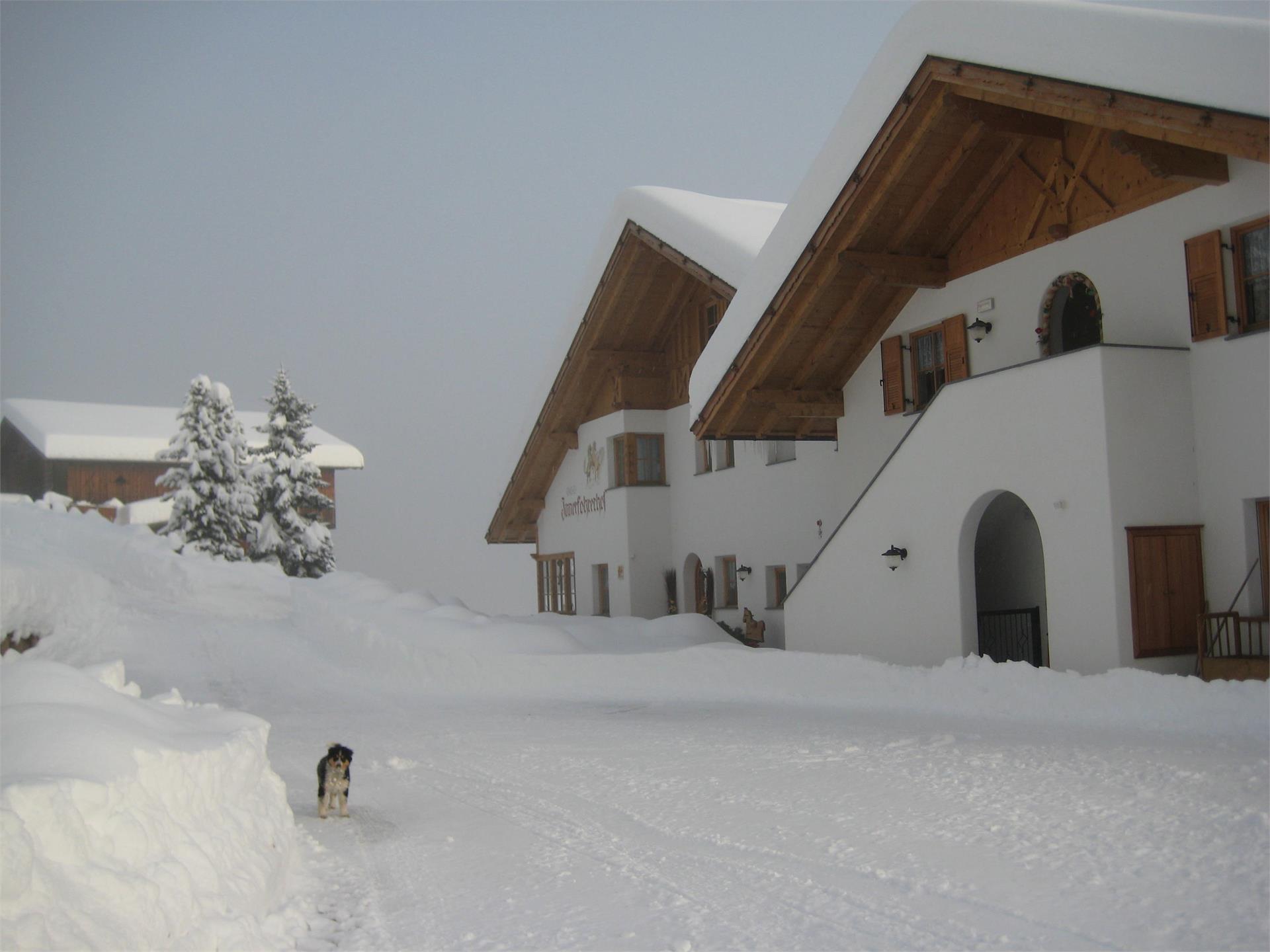 Innerfohrerhof Welschnofen 8 suedtirol.info