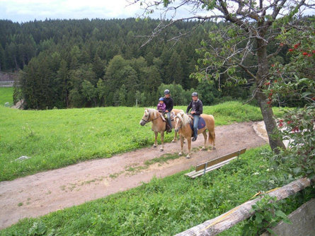 Innergruberhof Avelengo 13 suedtirol.info