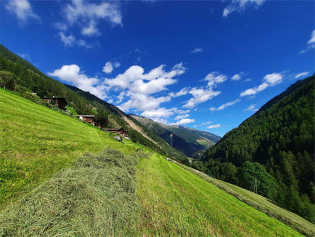 Innerforchhof Senales 1 suedtirol.info