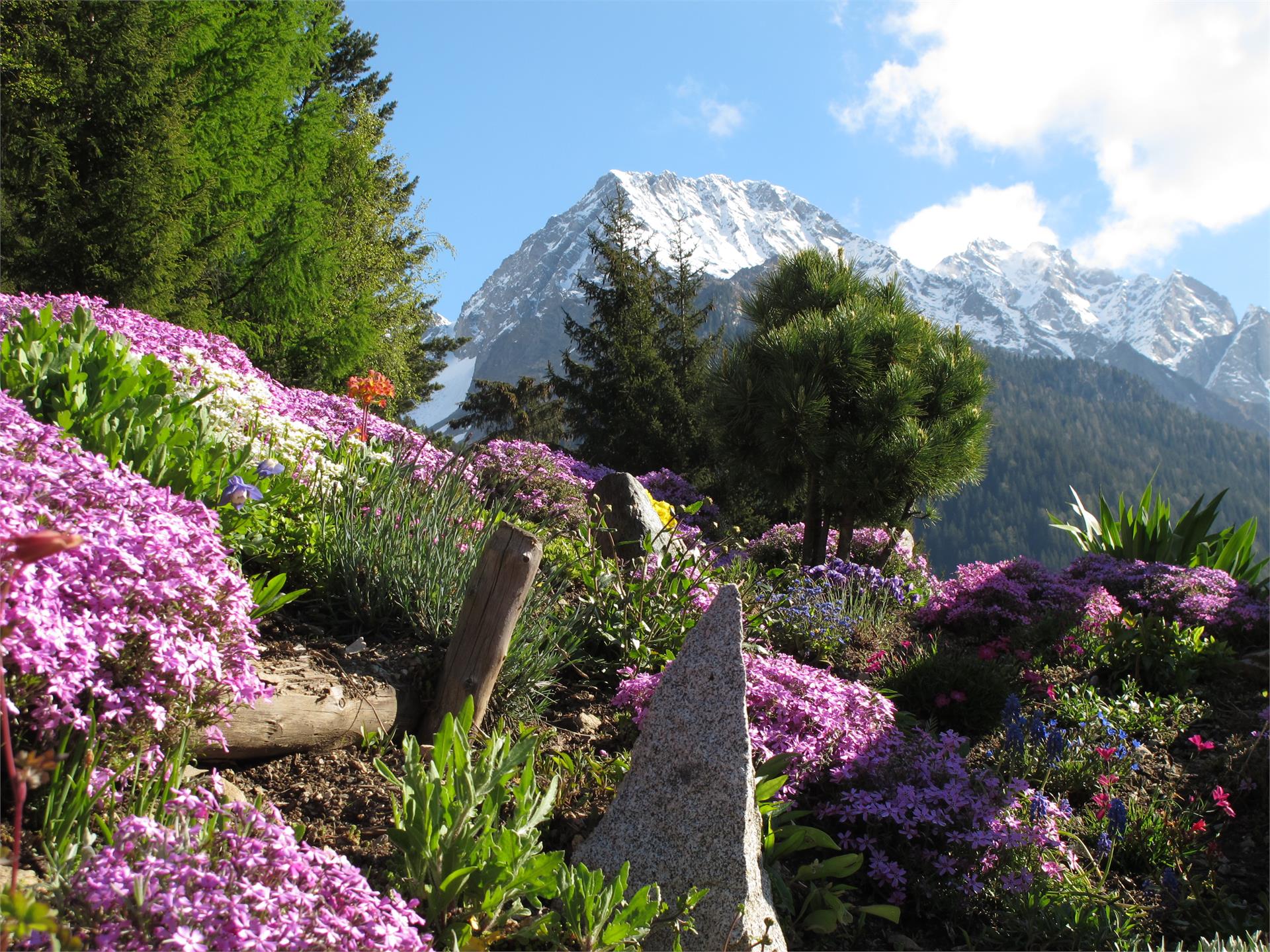 Innerkumpflhof Rasun Anterselva 25 suedtirol.info