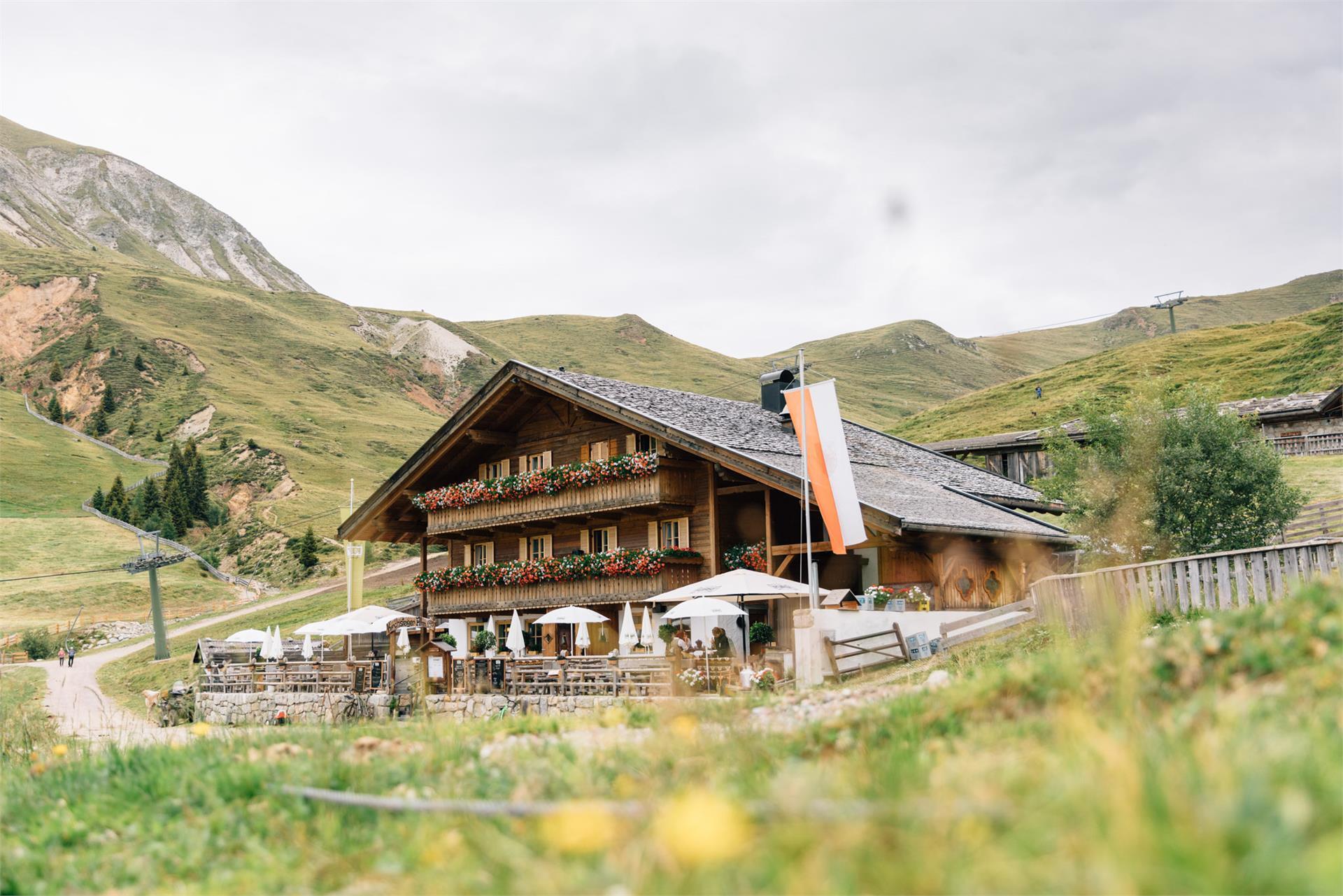 Malga Kirchsteiger Avelengo 1 suedtirol.info