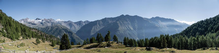 Malga del Convento Senales 18 suedtirol.info