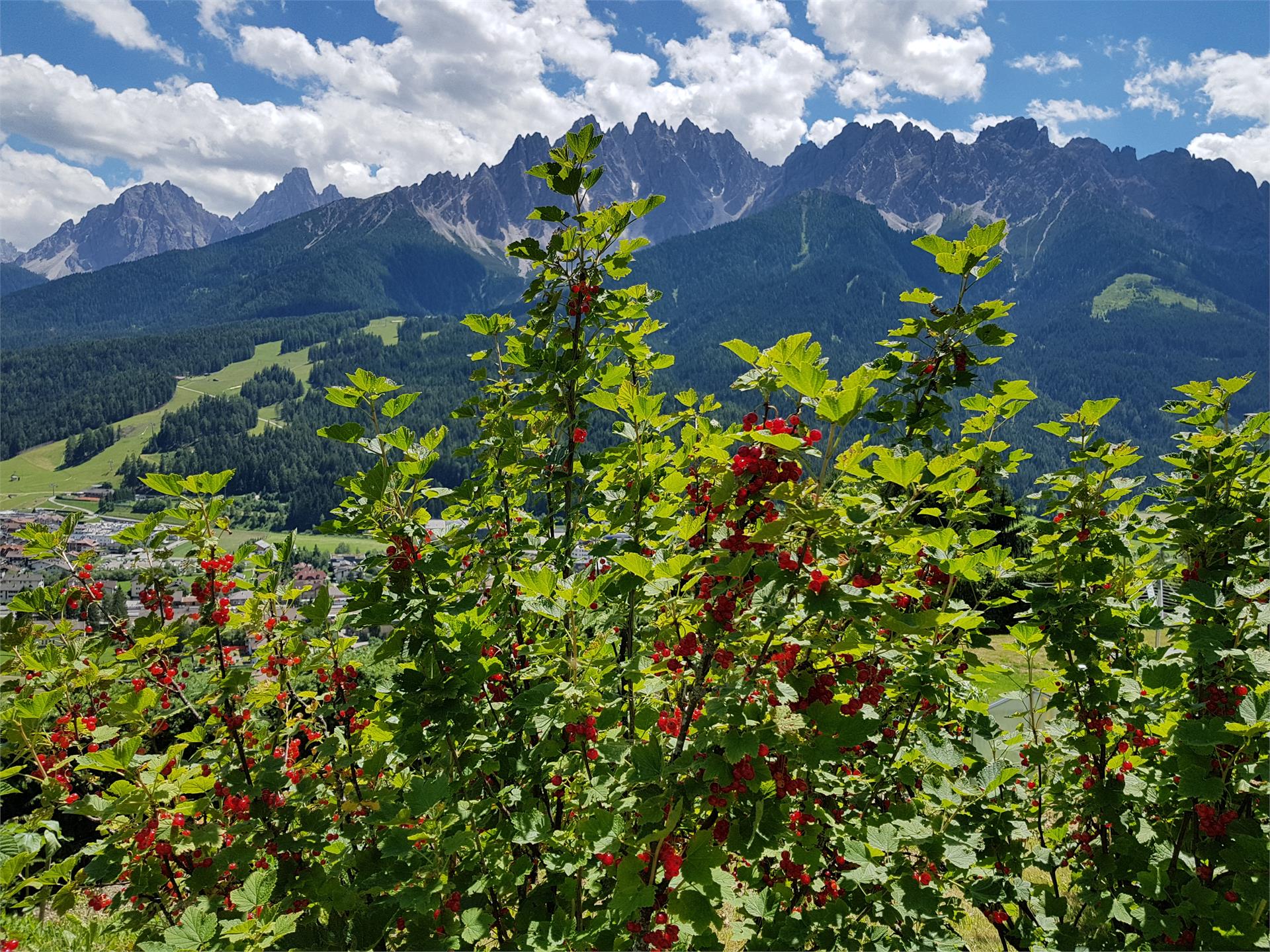 Maso Kuentnerhof San Candido 28 suedtirol.info