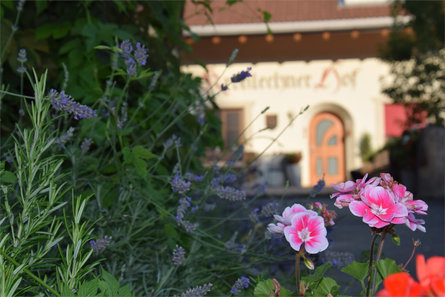 Kronlechnerhof Welschnofen 26 suedtirol.info