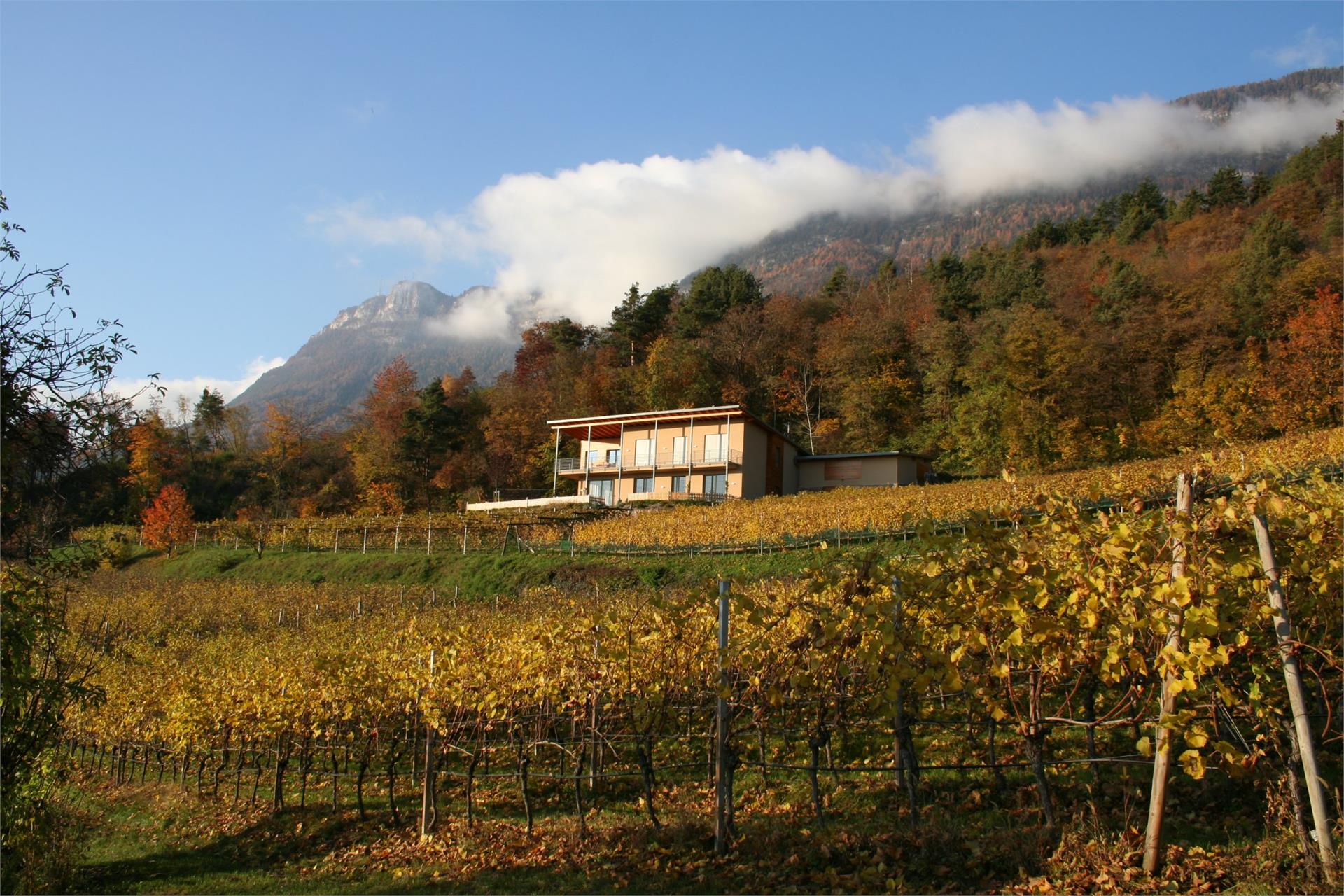 Kreuzsteinhof Eppan an der Weinstaße/Appiano sulla Strada del Vino 3 suedtirol.info