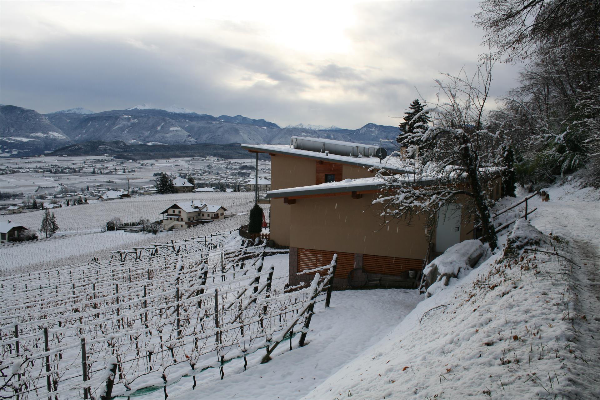 Kreuzsteinhof Eppan an der Weinstaße/Appiano sulla Strada del Vino 2 suedtirol.info