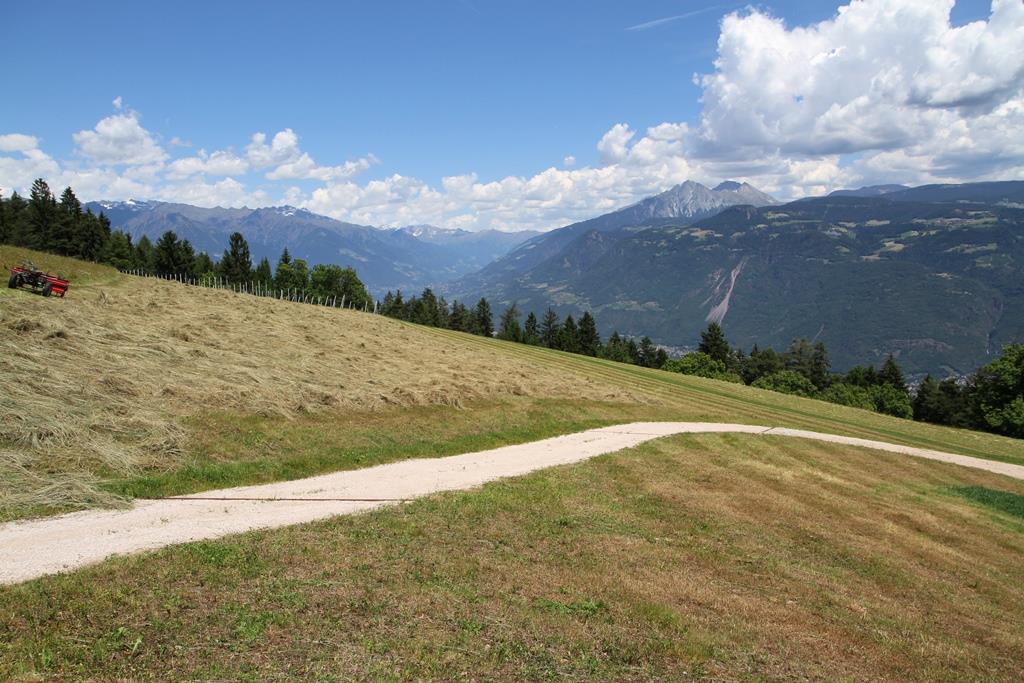 Kühberghof Tisens/Tesimo 9 suedtirol.info