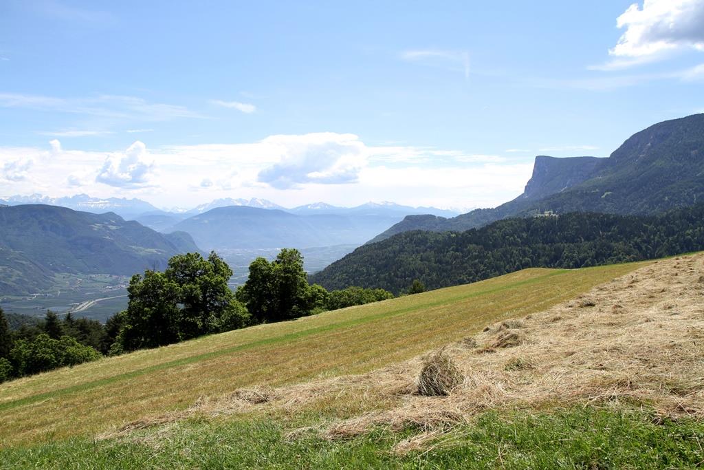 Kühberghof Tisens/Tesimo 5 suedtirol.info