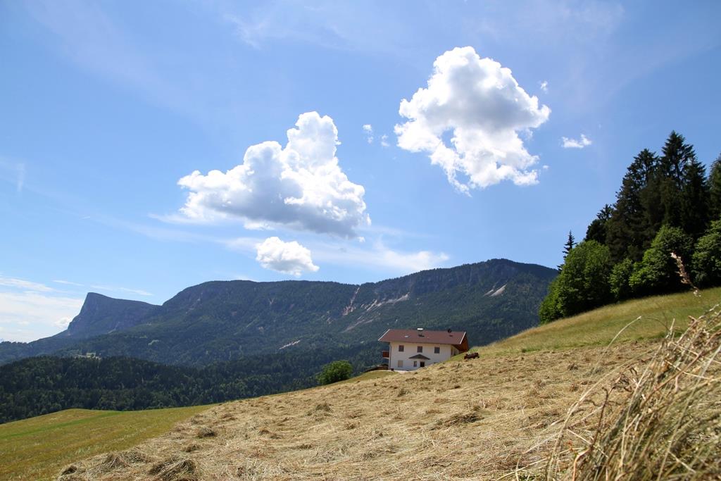 Kühberghof Tisens/Tesimo 10 suedtirol.info