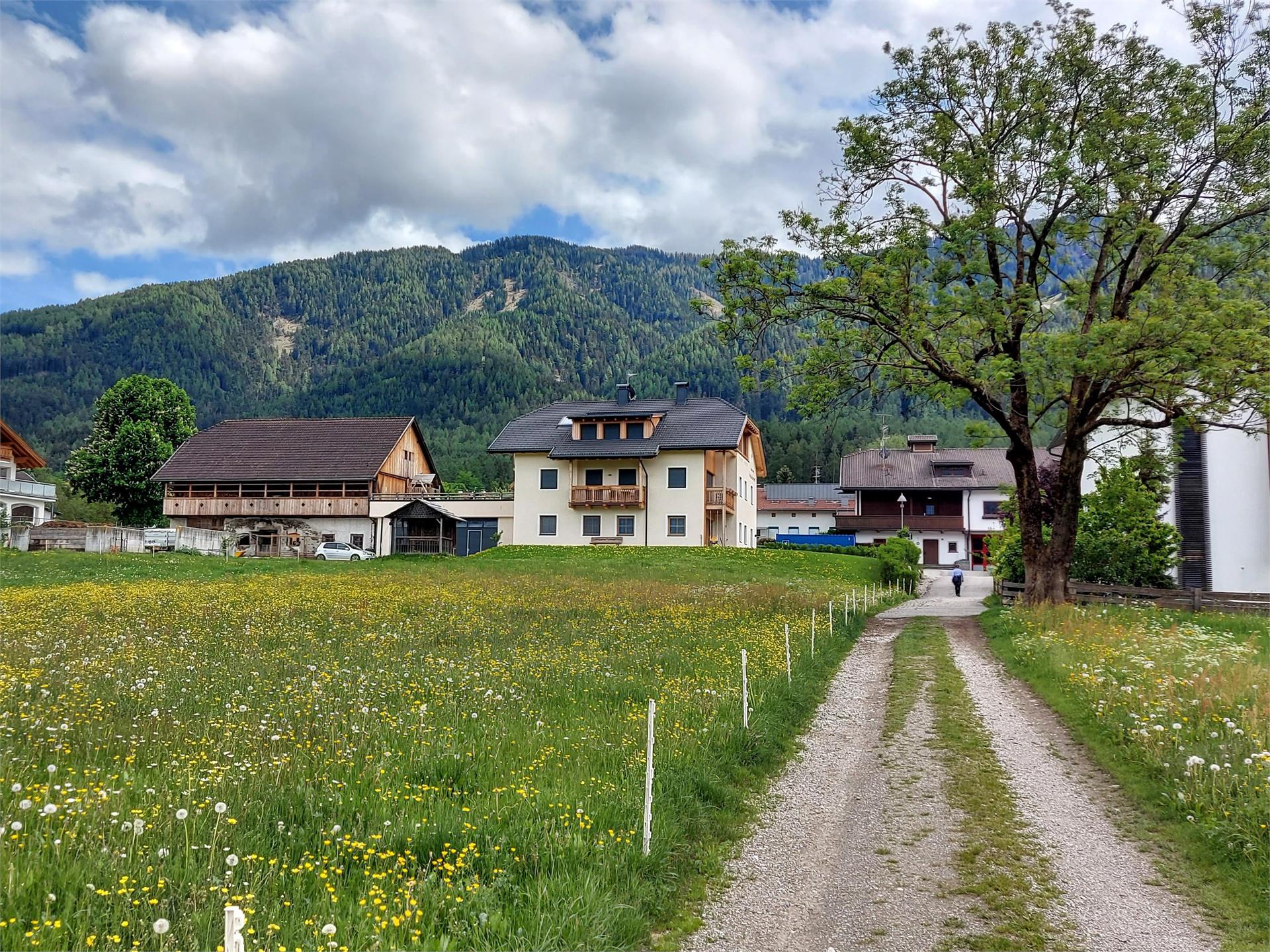 Krebslechnerhof Bruneck/Brunico 3 suedtirol.info