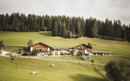 Maso Karer Nova Levante 30 suedtirol.info