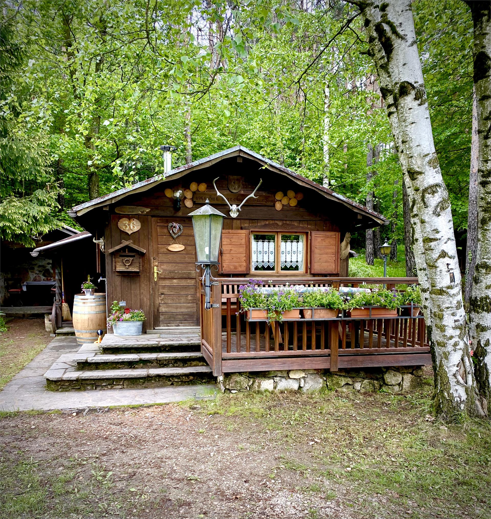 Appartamento Lärchenwiesenhütte Cortaccia sulla Strada del Vino 10 suedtirol.info