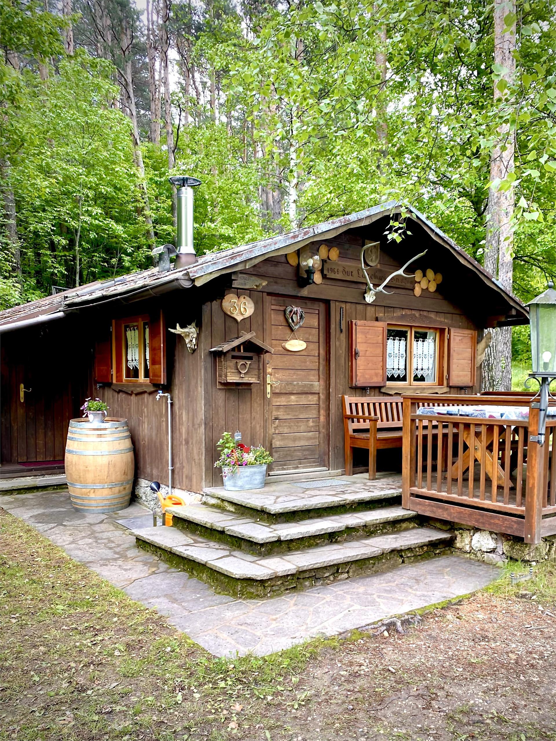 Appartamento Lärchenwiesenhütte Cortaccia sulla Strada del Vino 1 suedtirol.info