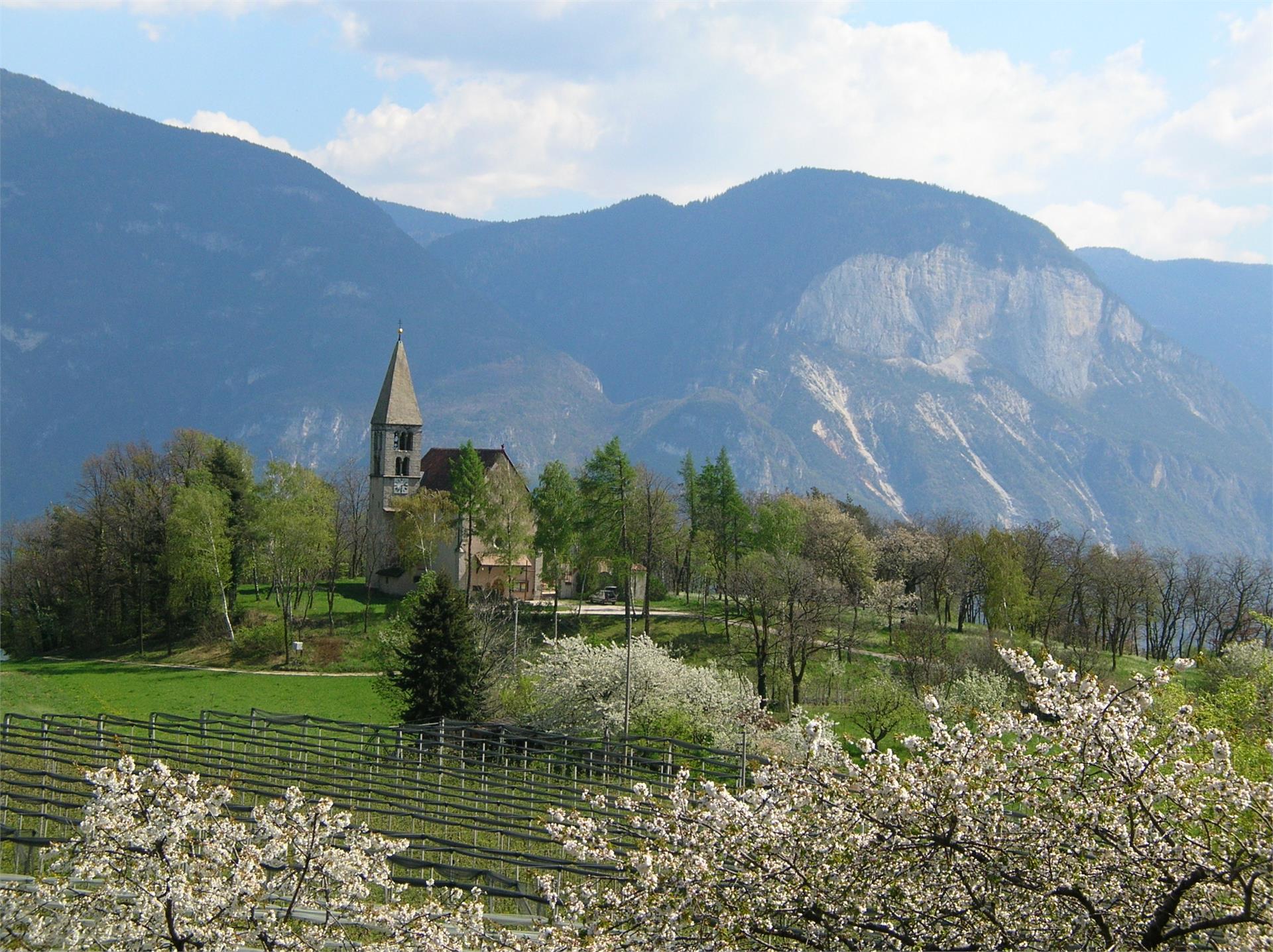 Appartamento Lärchenwiesenhütte Cortaccia sulla Strada del Vino 5 suedtirol.info