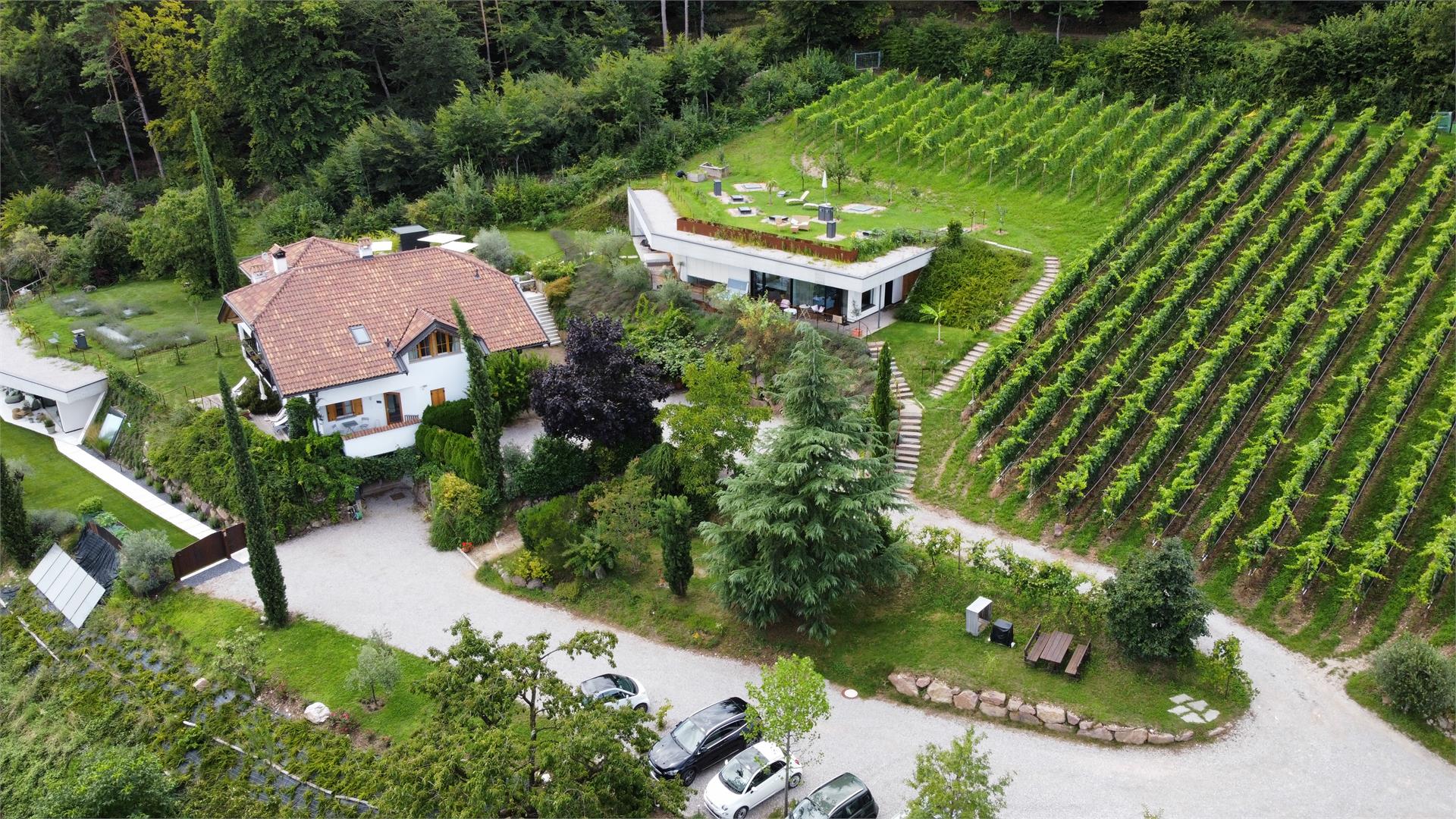 La Vinea Kaltern an der Weinstraße 13 suedtirol.info