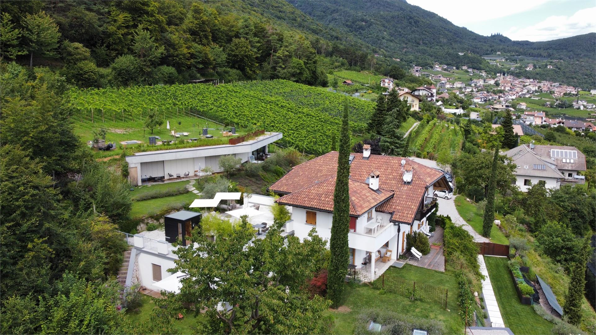 La Vinea Kaltern an der Weinstraße 9 suedtirol.info