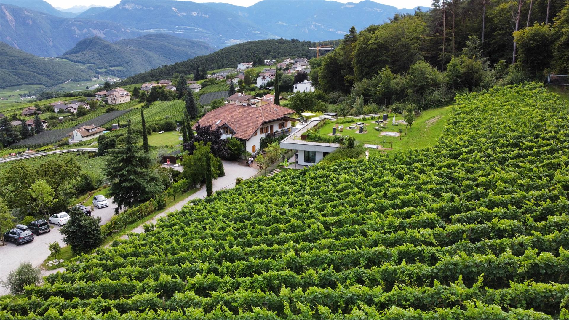 La Vinea Kaltern an der Weinstraße 11 suedtirol.info