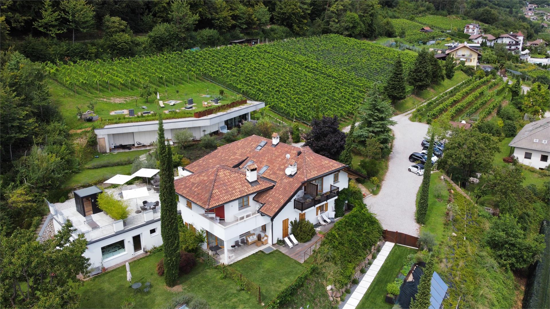 La Vinea Kaltern an der Weinstraße 12 suedtirol.info