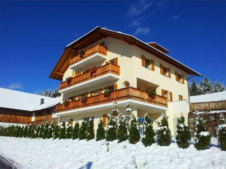 Lanerhof Renon 8 suedtirol.info