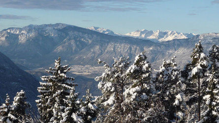 Lanerhof Ritten/Renon 6 suedtirol.info