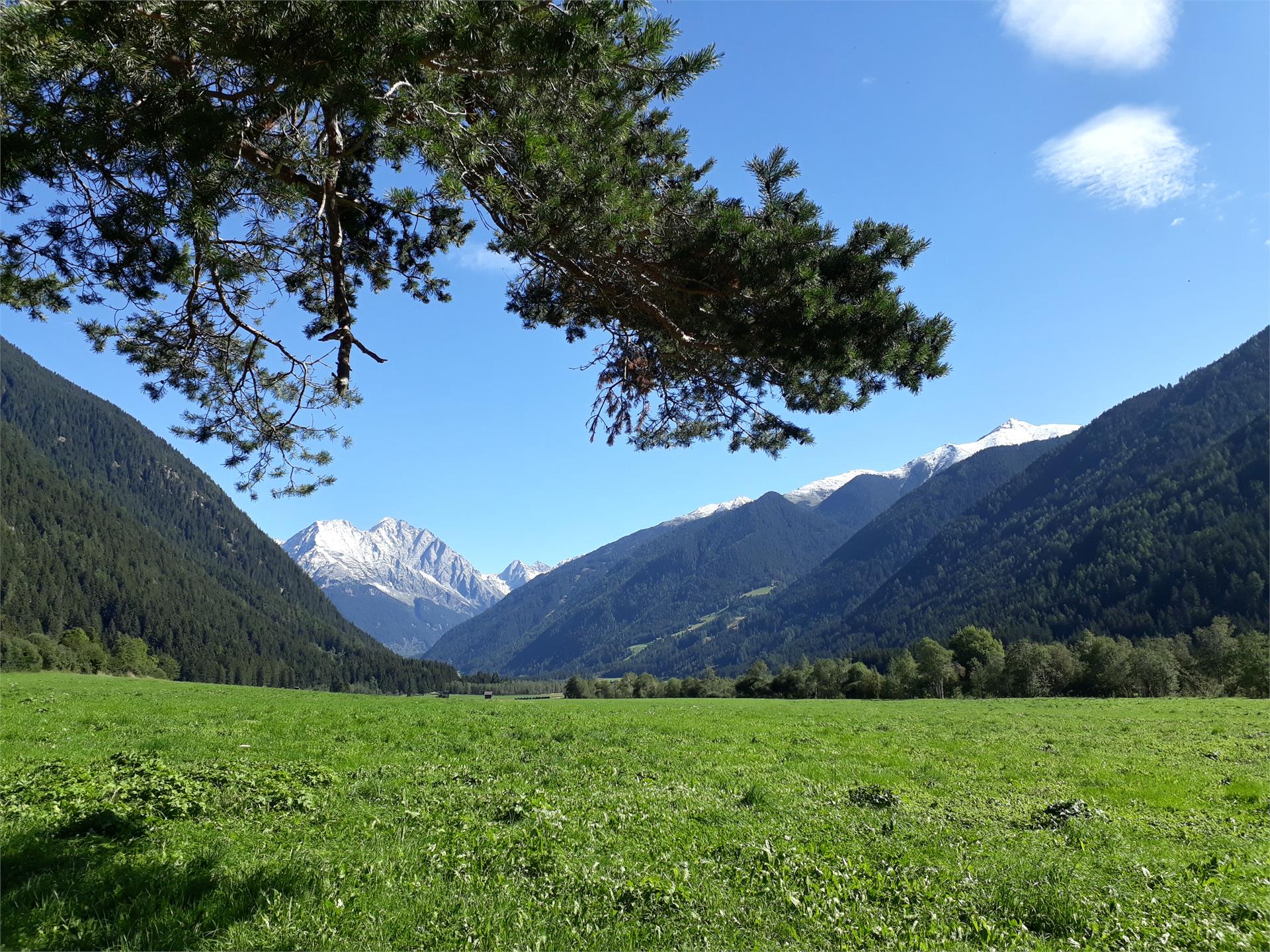 Lechnerhof Rasen-Antholz 21 suedtirol.info