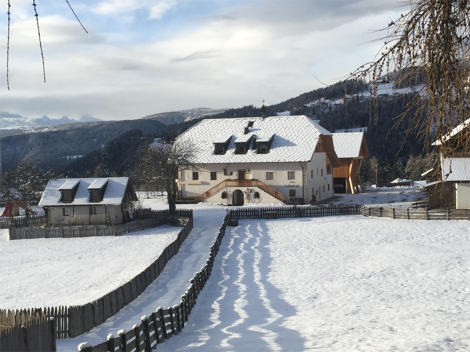 Lobishof Ritten/Renon 1 suedtirol.info