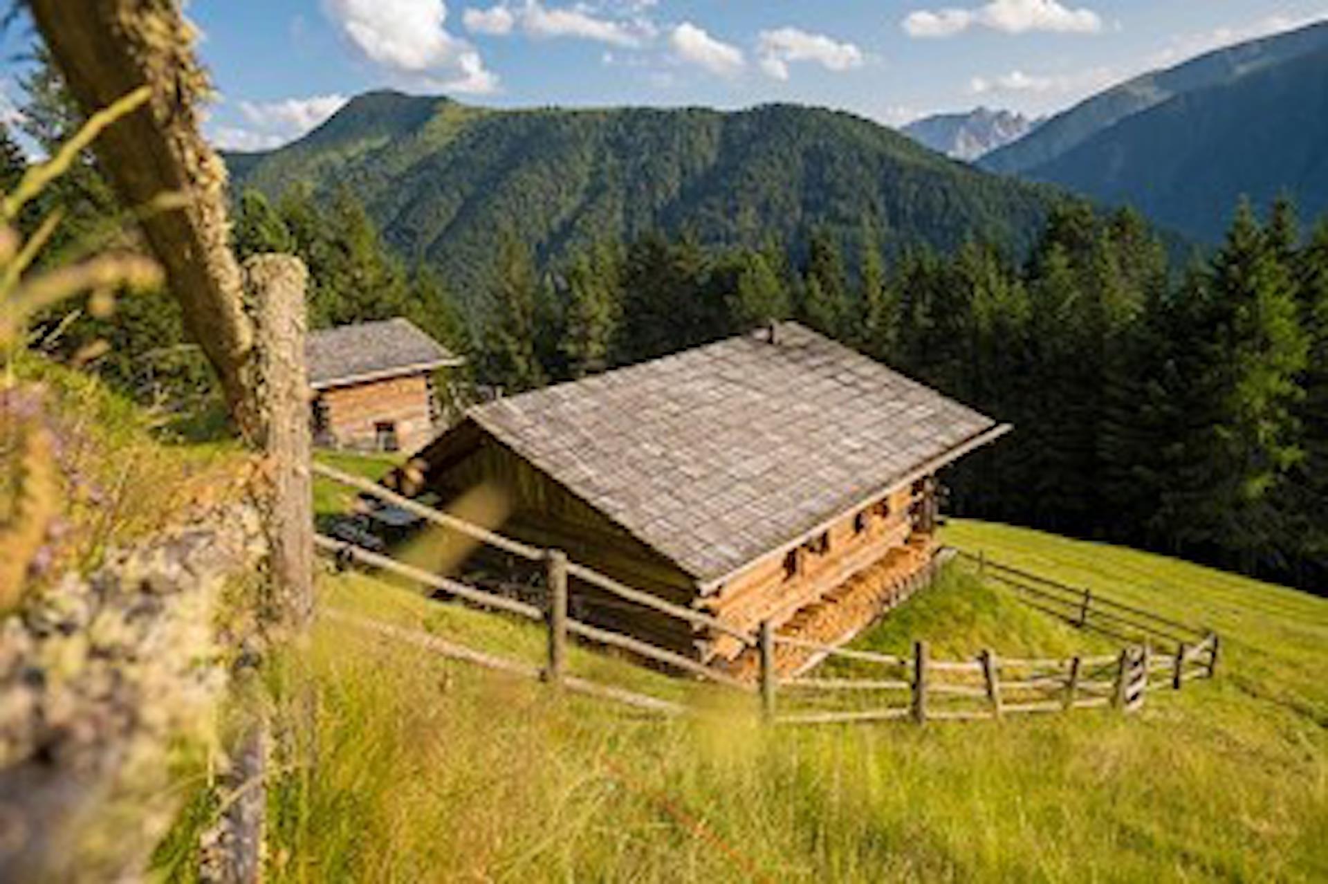 Lüsner Almhüttl Lüsen/Luson 3 suedtirol.info