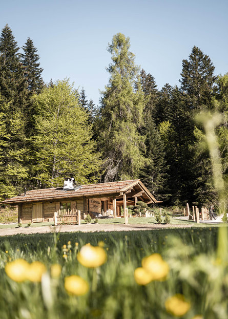 La Mendola Alm-Chalet Caldaro sulla Strada del Vino 5 suedtirol.info