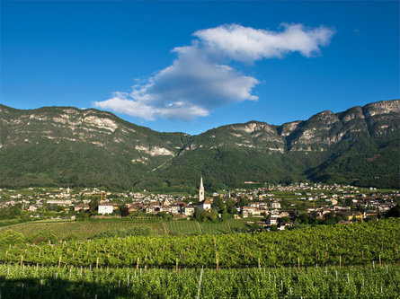 Lahnbauerhof Caldaro sulla Strada del Vino 1 suedtirol.info