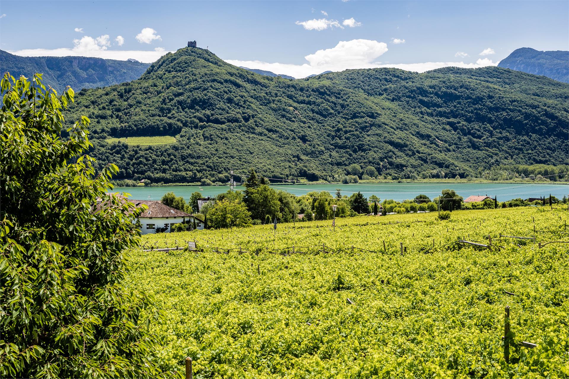 Lahnhöfl Kaltern an der Weinstraße/Caldaro sulla Strada del Vino 4 suedtirol.info