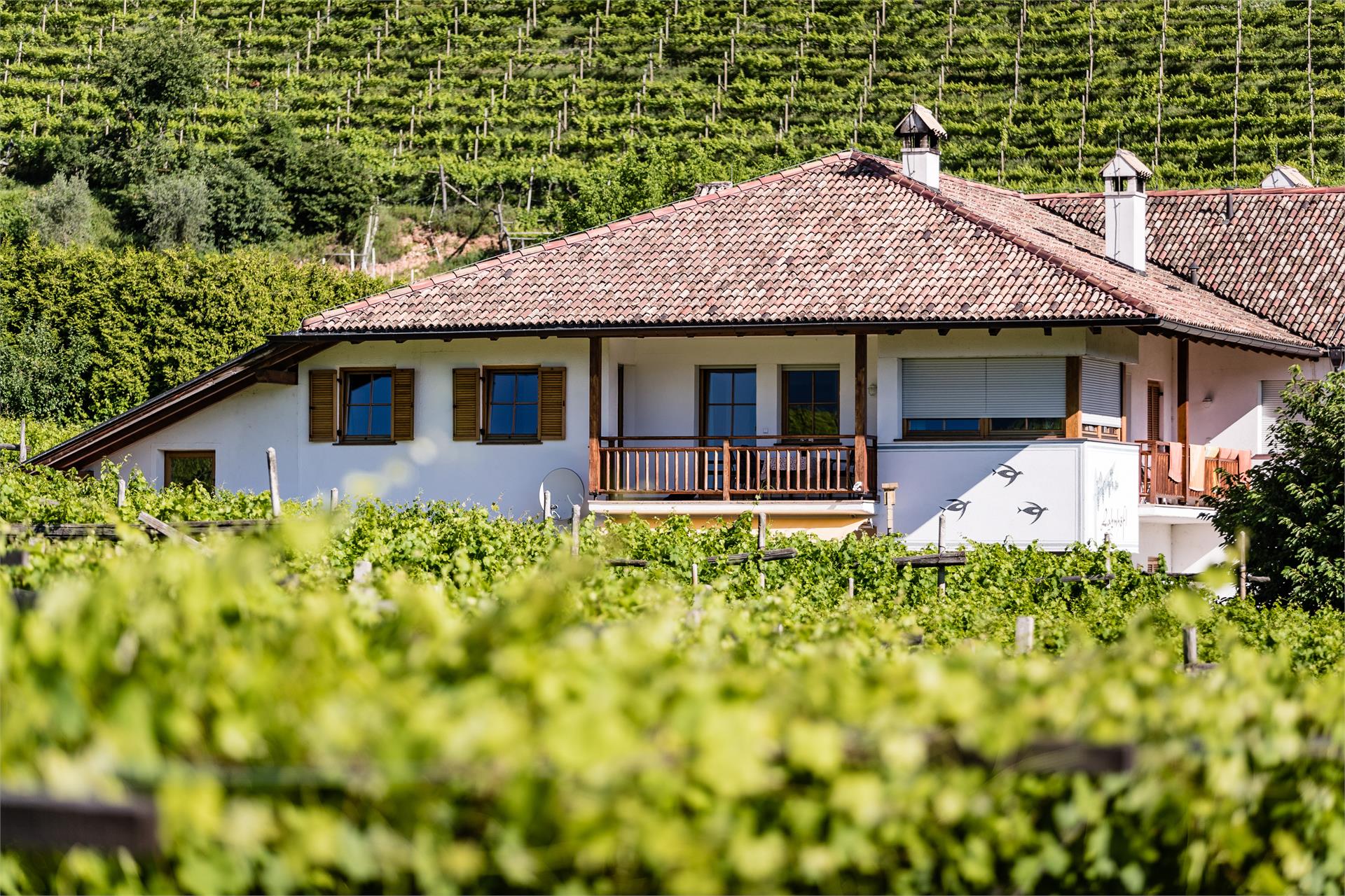 Lahnhöfl Kaltern an der Weinstraße/Caldaro sulla Strada del Vino 17 suedtirol.info