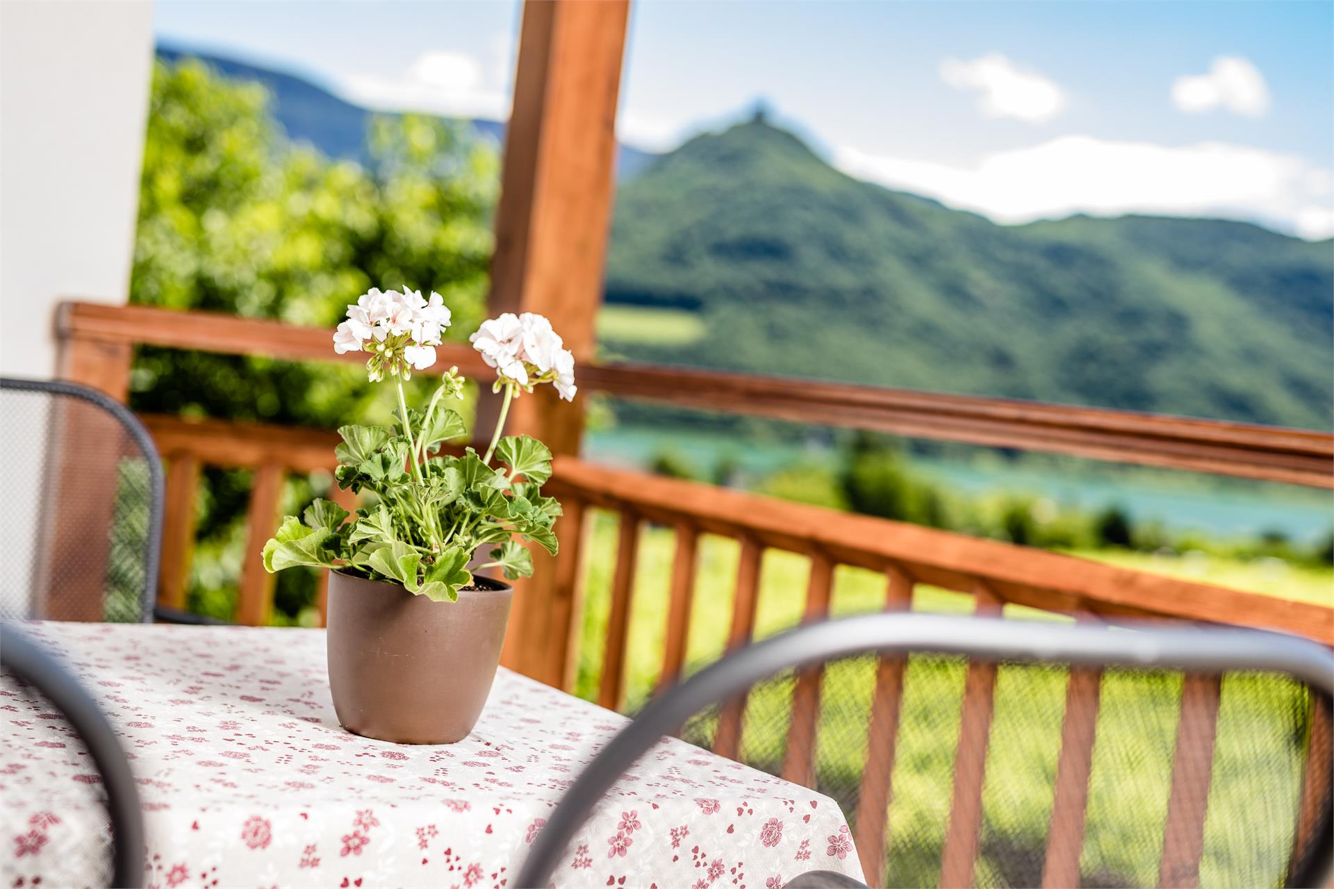 Lahnhöfl Kaltern an der Weinstraße/Caldaro sulla Strada del Vino 8 suedtirol.info