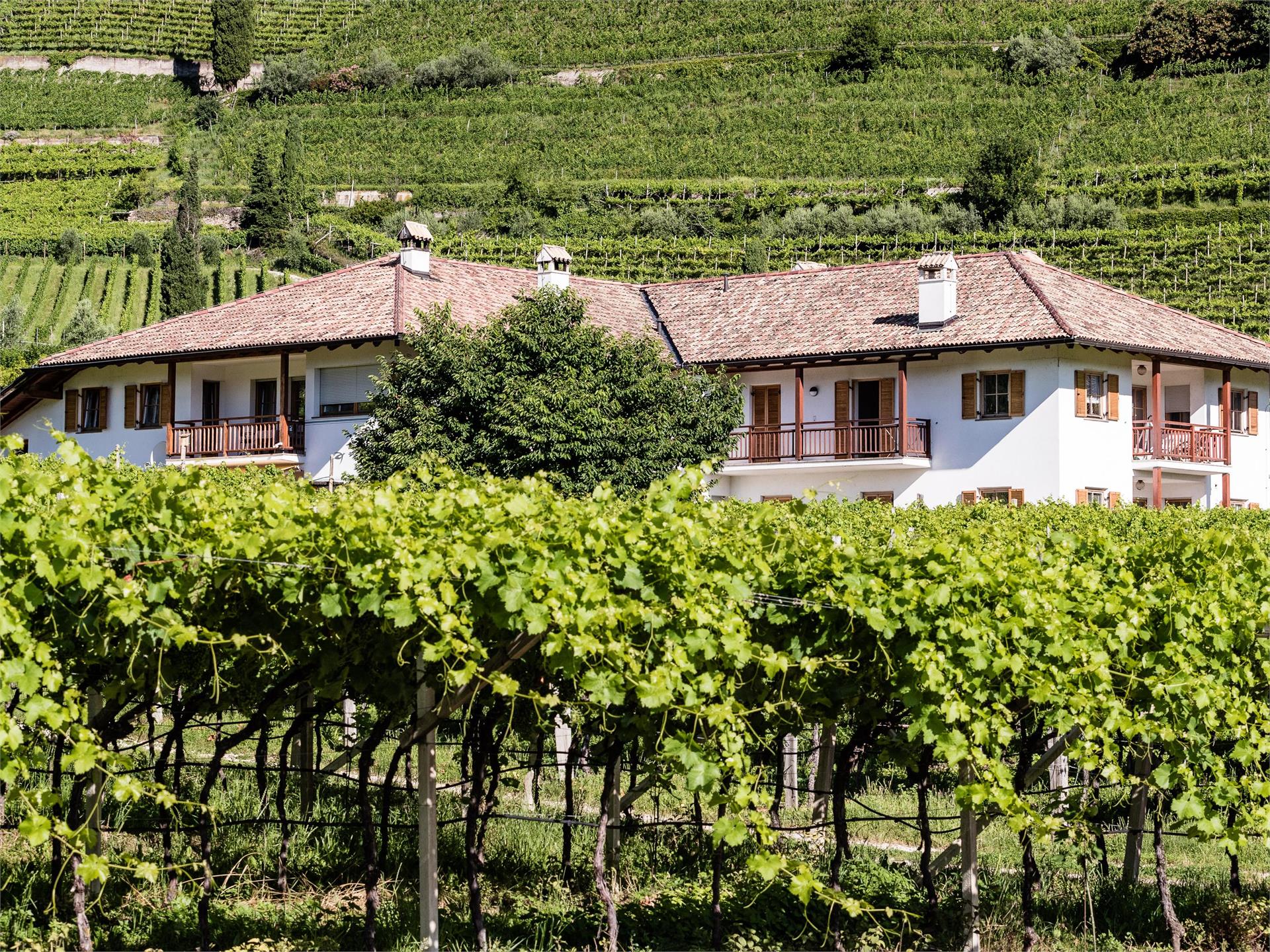 Lahnhöfl Kaltern an der Weinstraße/Caldaro sulla Strada del Vino 1 suedtirol.info