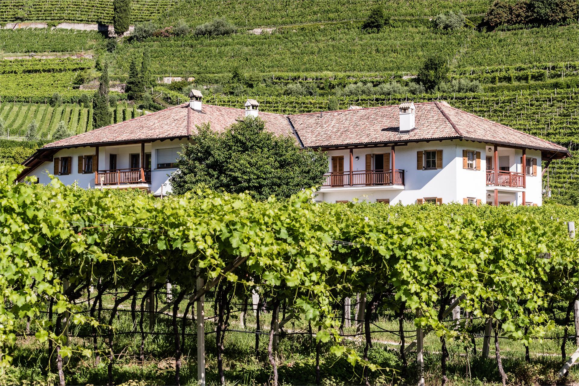 Lahnhöfl Kaltern an der Weinstraße/Caldaro sulla Strada del Vino 3 suedtirol.info