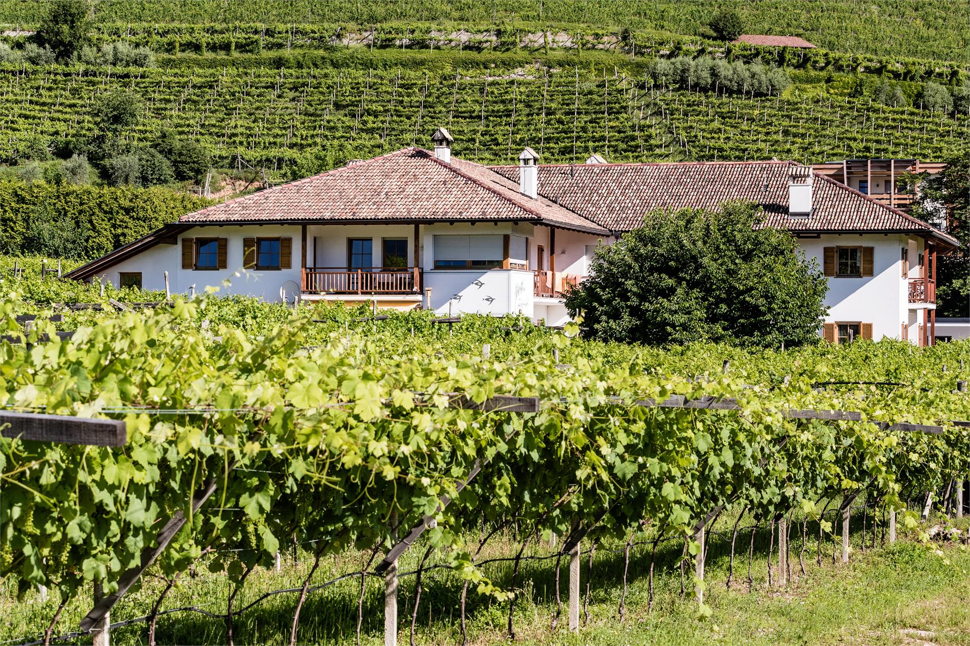 Lahnhöfl Kaltern an der Weinstraße/Caldaro sulla Strada del Vino 2 suedtirol.info