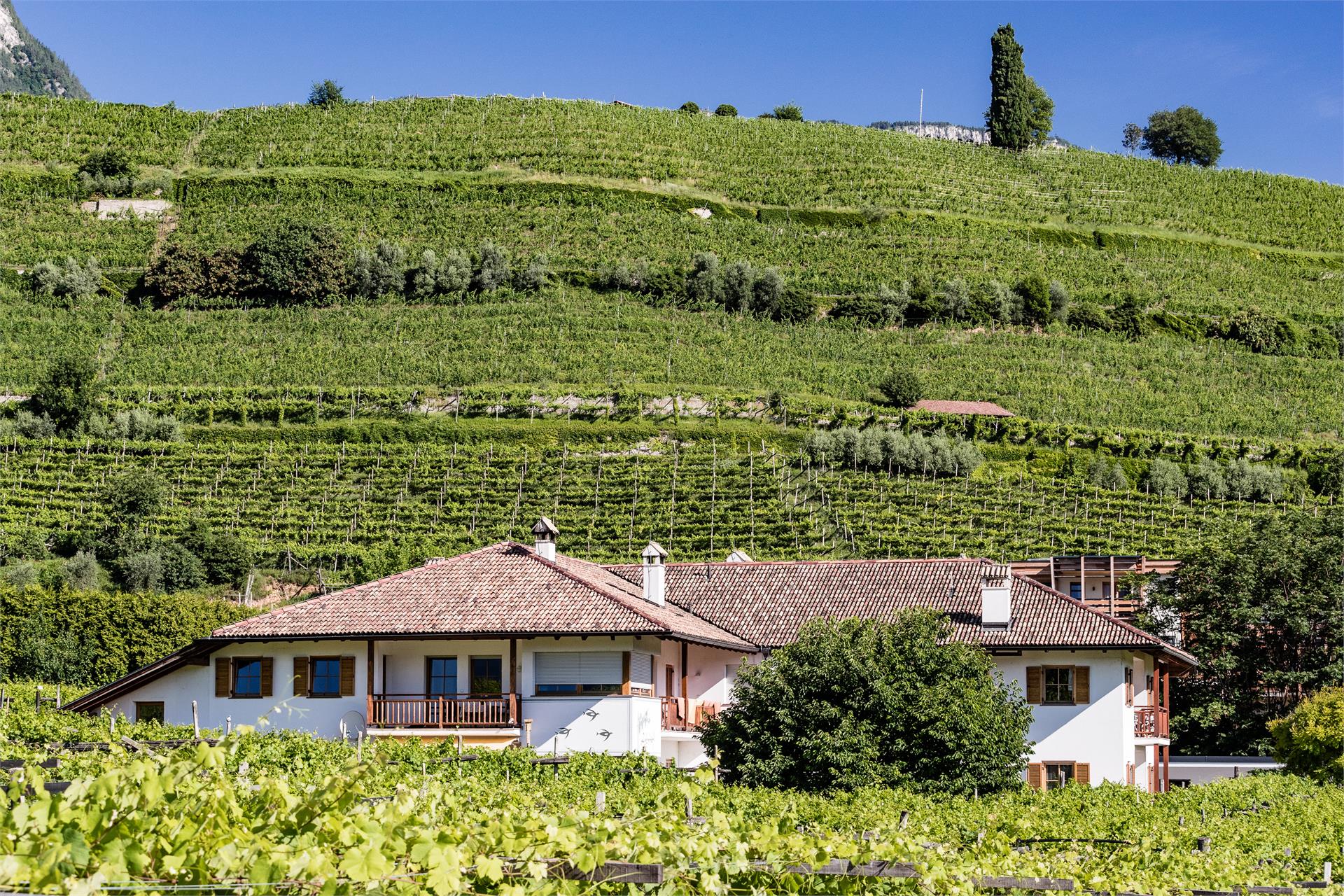 Lahnhöfl Kaltern an der Weinstraße/Caldaro sulla Strada del Vino 18 suedtirol.info