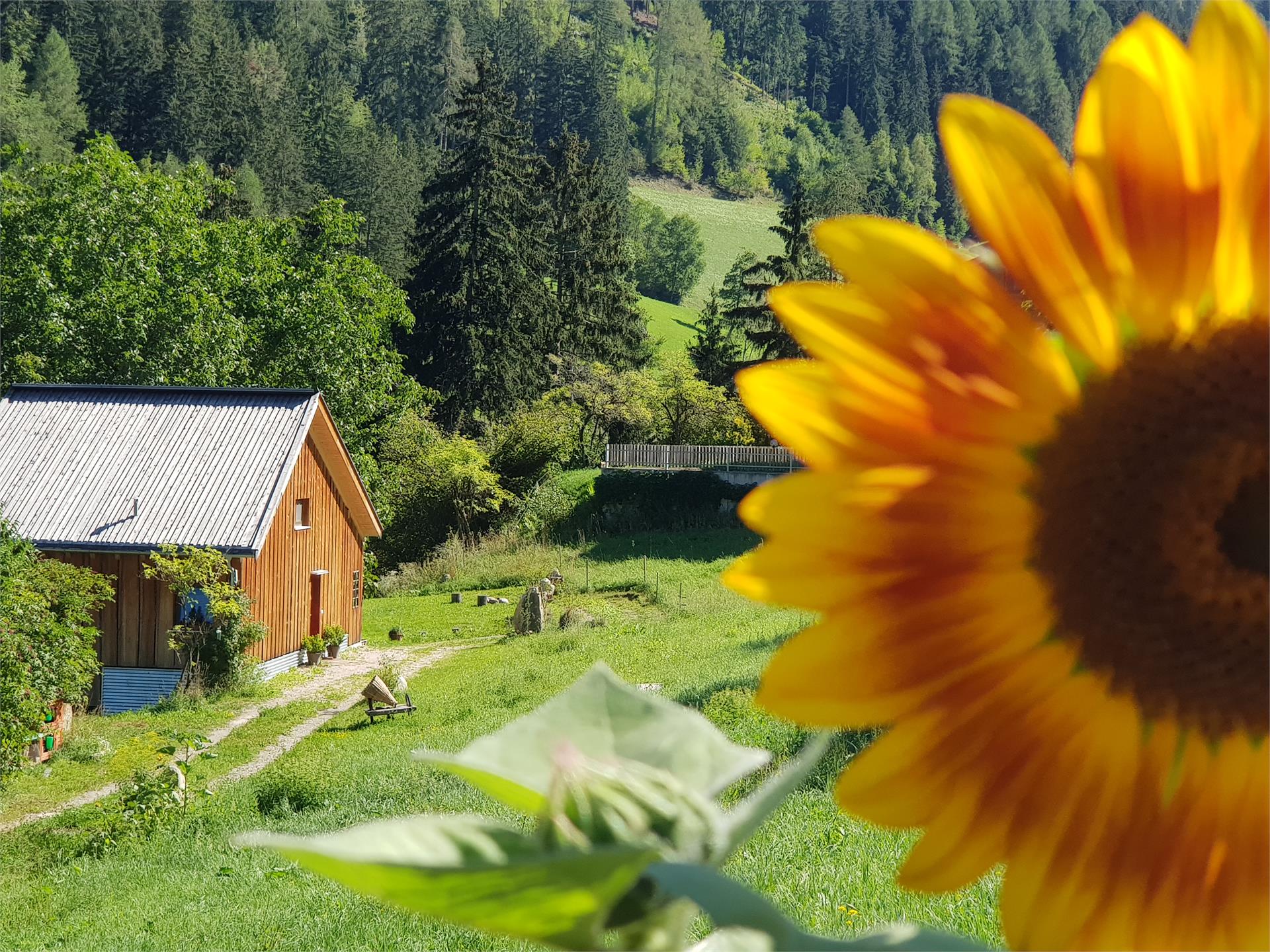 Laugen Lodge St.Pankraz/San Pancrazio 31 suedtirol.info