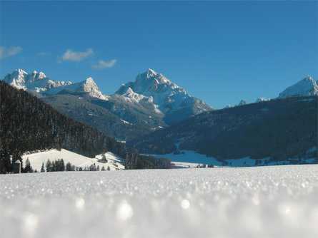 Landhof Welsberg-Taisten/Monguelfo-Tesido 25 suedtirol.info