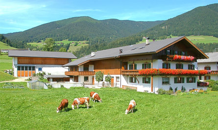 Landhof Welsberg-Taisten 4 suedtirol.info