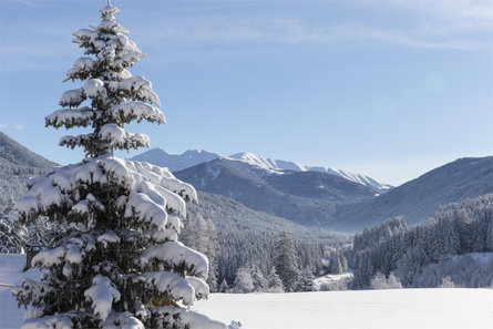 Landhof Welsberg-Taisten 24 suedtirol.info