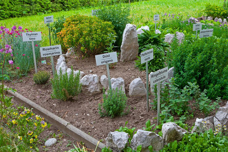 Landhof Welsberg-Taisten 15 suedtirol.info