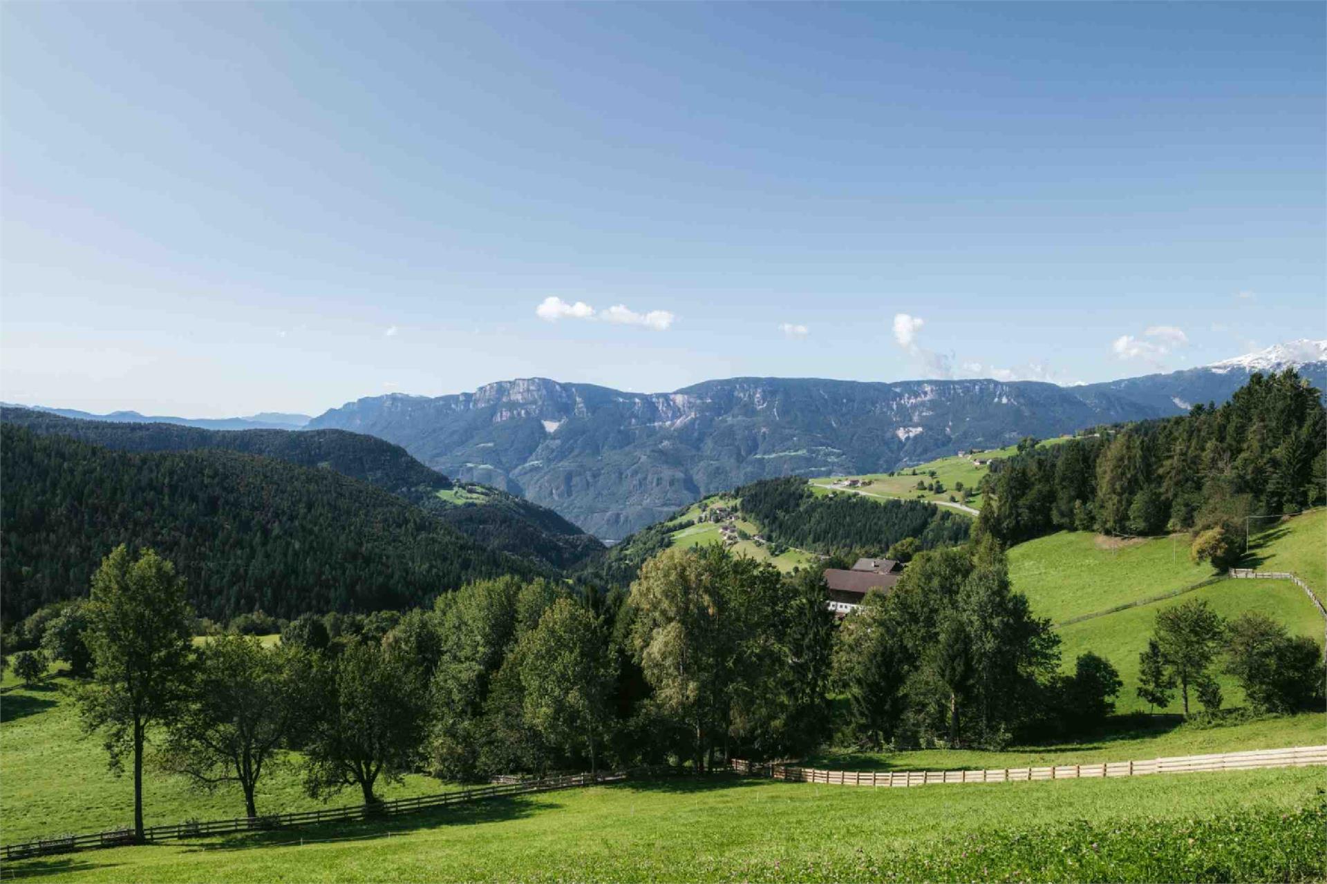 Lochbauer Mölten/Meltina 3 suedtirol.info