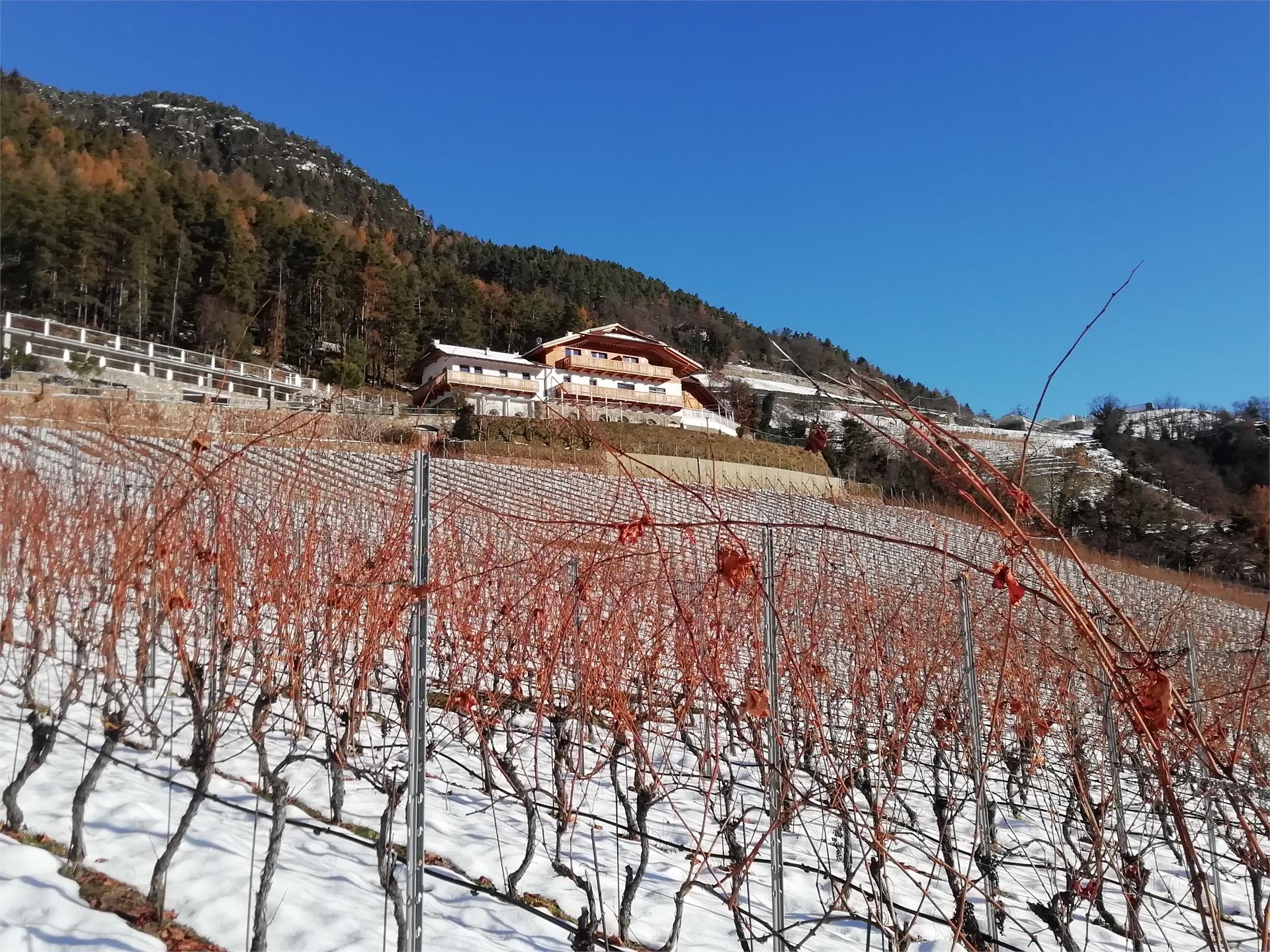 Löchlerhof Ritten 21 suedtirol.info