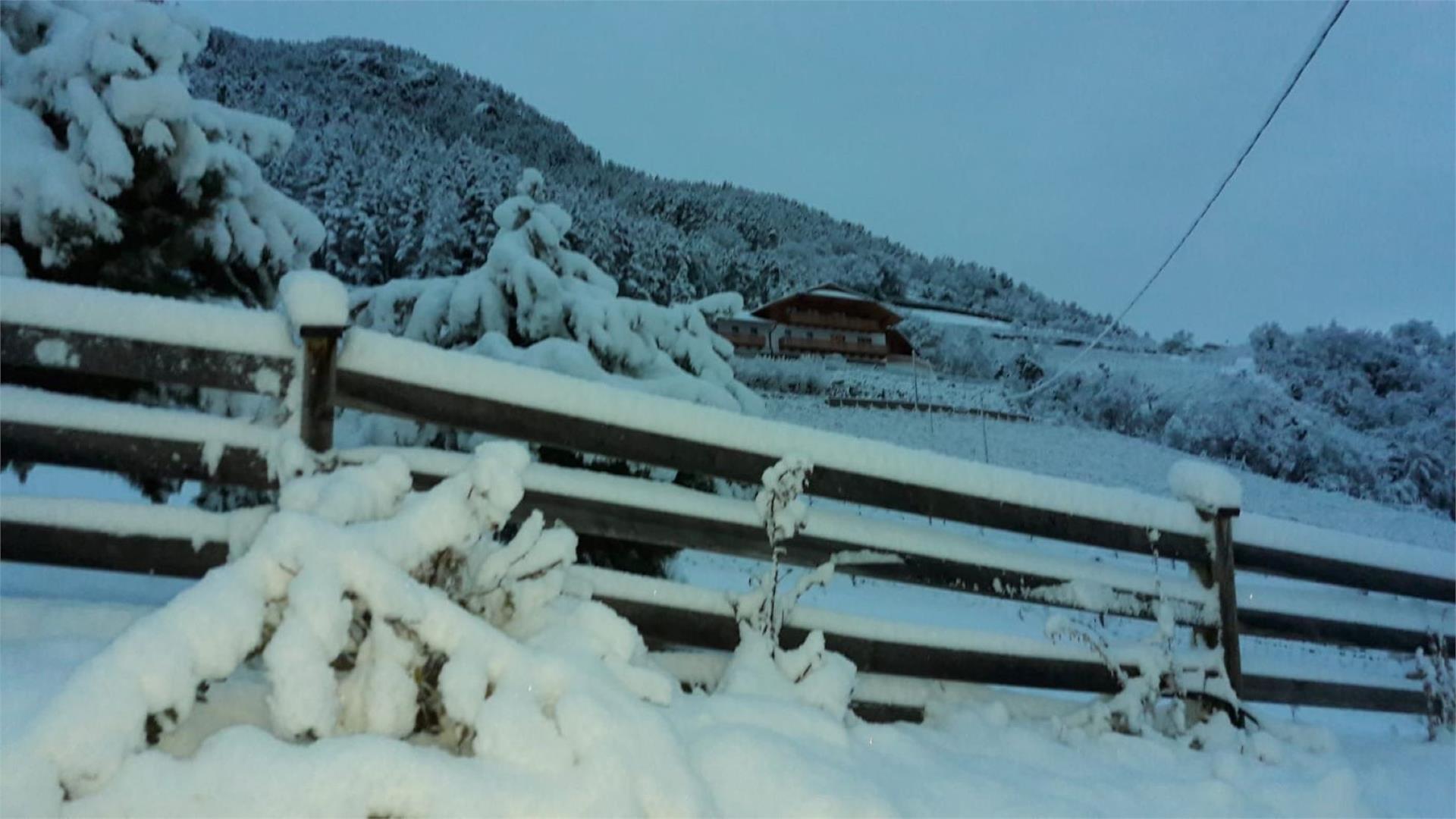 Löchlerhof Ritten 1 suedtirol.info