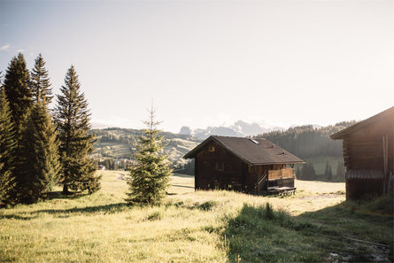 Malga Malider Castelrotto 2 suedtirol.info